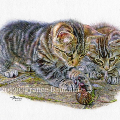 Gold & Silver - 71 days
White Cartridge Paper
7" x 10.5"
From Laila's first litter
